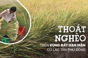 Thoát nghèo trên vùng đất hạn mặn cù lao Tân Phú Đông