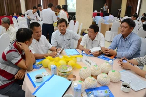 Kết nối cung cầu cho các HTX trên địa bàn tỉnh Tiền Giang