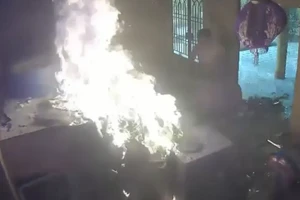 Tạm giữ người đàn ông đập phá và đốt chùa ở Long An