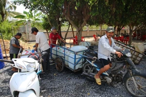Tiền Giang công bố tình huống khẩn cấp về thiên tai xâm nhập mặn tại huyện Tân Phú Đông