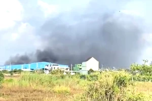 Cháy nhà máy xay xát lúa gạo ở Long An