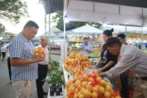 Long An: 8 tháng đầu năm 2024, tổng mức bán lẻ hàng hóa của tỉnh ước đạt hơn 66.900 tỷ đồng