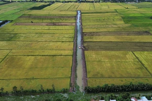 Long An: Không để xảy ra sự cố tràn đê, vỡ đê khi lũ lên cao