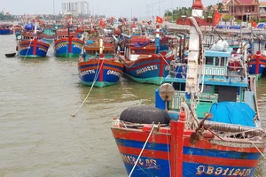 Đánh bắt xa bờ đem lại thu nhập lớn cho xã biển Bảo Ninh