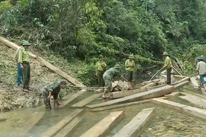 Quảng Bình: 3 cán bộ kiểm lâm bị khiển trách khi rừng mất gần 100m3 gỗ