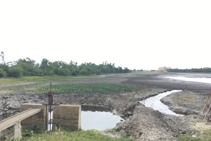 Hồ nước Bàu Sen đã cạn kiệt