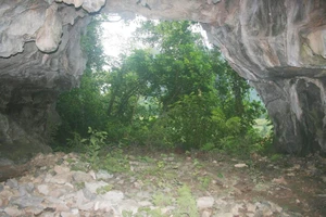 Hệ thống hang động ở Hóa Tiến, Hóa Thanh, Minh Hóa, Quảng Bình từng là nơi Sở chỉ huy tiền phương Đoàn 559