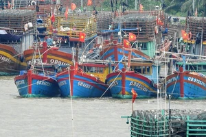 Tàu cá của ngư dân Quảng Bình neo đậu trên sông Nhật Lệ.