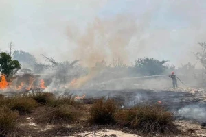 Cháy rừng từ 9g sáng đến 16g chiều tại xã Ngư Thủy Bắc, huyện Lệ Thủy, tỉnh Quảng Bình