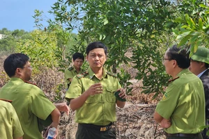Chi cục Kiểm lâm vùng II cùng với Chi cục kiểm lâm Quảng Bình kiểm tra hiện trường phá rừng phòng hộ 