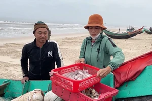 Ngư dân xã Hải Ninh, huyện Quảng Ninh trúng đậm cá khoai
