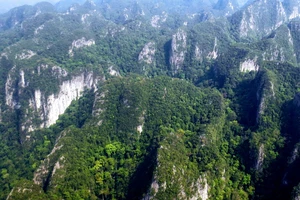Cảnh quan xanh của Vườn quốc gia Phong Nha - Kẻ Bàng