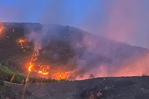 Quảng Bình: Khống chế cháy rừng sau một ngày đêm căng mình dập lửa