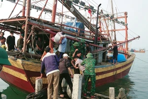 Quảng Bình: 1 ngư dân được cứu sống sau 3 ngày trôi dạt trên biển