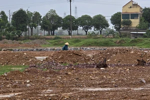 Quảng Bình: Tự ý san lấp, chuyển10ha đất nuôi trồng thủy sản sang trồng cây lâu năm