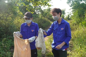 Hơn 700 người tham gia nhặt rác tại bán đảo Sơn Trà 