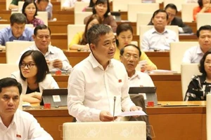  ĐB Nguyễn Lân Hiếu (An Giang) phát biểu tại phiên thảo luận sáng ngày 30-5. Ảnh: TTXVN 
