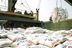 Gạo Việt Nam lên tàu xuất khẩu. Ảnh minh họa