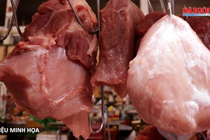 Giá thịt heo tăng cao, chuyên gia khuyến cáo nên đa dạng thực phẩm sử dụng