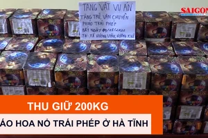 Bắt giữ đối tượng vận chuyển trái phép 200kg pháo hoa nổ ở Hà Tĩnh 