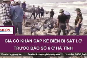 Gia cố khẩn cấp kè biển bị sạt lở trước bão số 6 ở Hà Tĩnh