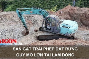 San gạt trái phép đất rừng quy mô lớn tại Lâm Đồng