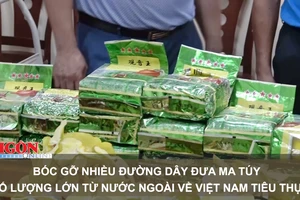Bóc gỡ nhiều đường dây đưa ma túy số lượng lớn từ nước ngoài về Việt Nam tiêu thụ