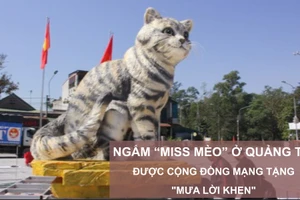 Ngắm “Miss Mèo” ở Quảng Trị được cộng đồng mạng tặng "mưa lời khen"