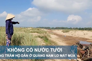 Không có nước tưới, hàng trăm hộ dân ở Quảng Nam lo mất mùa