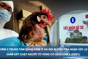 Tin nóng 20H (25-2): Thêm 2 trung tâm đăng kiểm ở Hà Nội bị điều tra nhận hối lộ, giám sát chặt người từ vùng có dịch cúm A(H5N1)