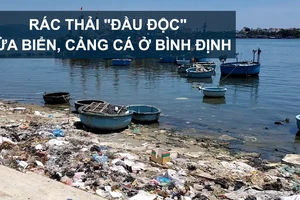 Rác thải "đầu độc" cửa biển, cảng cá ở Bình Định