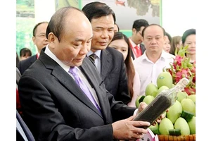 Thủ tướng Nguyễn Xuân Phúc tìm hiểu các sản phẩm của Đồng Tháp. Ảnh: THANH TÙNG