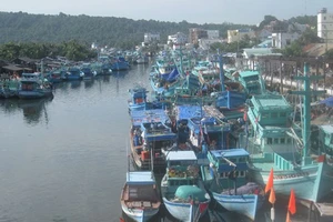 Nhiều tàu thuyền ở Kiên Giang được kêu gọi vào nơi trú bão an toàn. Ảnh: Nguyễn Thanh