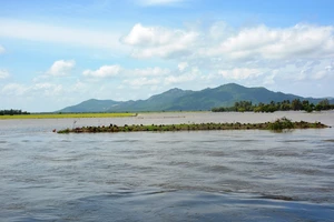 Nước lũ từ Campuchia chảy rất mạnh về vùng biên giới Tri Tôn. Ảnh: HUỲNH LỢI