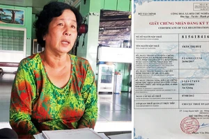 Bà Trần Thị Huệ và Giấy chứng nhận đăng ký thuế