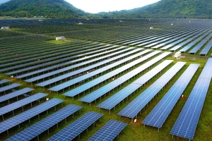 Khởi động nhà máy điện mặt trời 3.000 tỷ đồng giai đoạn 2 ở vùng biên giới An Giang