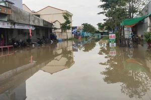 Hơn 2.500 căn nhà ở Vĩnh Long bị ngập do triều cường