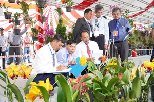 Hơn 800 nghệ nhân dự hội thi hoa phong lan toàn quốc 