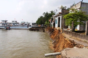 6 căn nhà ở Vĩnh Long bị sạt lở xuống sông Hậu vào mùng 3 Tết