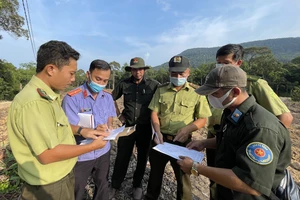 Kiên Giang: Lập tổ công tác đặc biệt để giữ rừng Phú Quốc