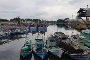 Kiên Giang: Khoảng 50% hội viên nghề cá bên bờ vực phá sản