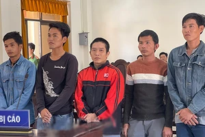 Tòa Phúc thẩm giảm án cho 6 bị cáo phá rừng Phú Quốc từ 1-2 năm tù