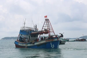Kiên Giang: Phạt 5 chủ tàu cá tháo thiết bị giám sát hành trình hơn 6 tỷ đồng