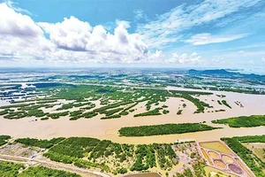 Xử lý nghiêm tình trạng lấn chiếm đầm Đông Hồ ở Kiên Giang