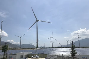 Thường trực Ban Bí thư Trần Quốc Vượng thị sát tiến độ dự án tổ hợp điện tái tạo Ninh Thuận