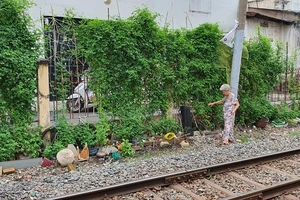 Người dân trồng rau trong khu vực an toàn đường sắt