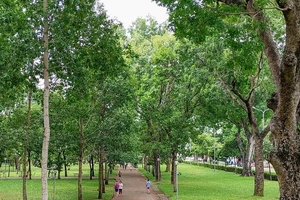 Thí điểm "Công viên an toàn giao thông" tại công viên Gia Định