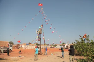 Cây nêu Việt Nam cao 10m trên đất châu Phi xa xôi