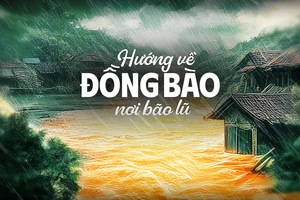 Nhiều chương trình truyền hình trực tiếp hướng về đồng bào vùng bão lũ