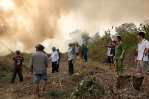 Kiên Giang: Khống chế đám cháy rừng do người đi lấy mật ong vứt tàn thuốc